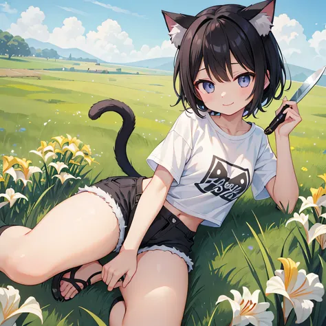 highest quality、、small breasts、cat ear、short black hair、iris、cropped t-shirt、shorts、smile、holding a knife in his right hand、gras...