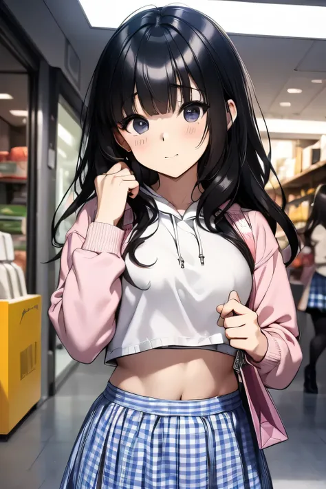 (child),(masterpiece,Highest Quality),Crop Top Look,Pastel Hoodie,(gingham checked skirt),A dark-haired,World of toys, lifting the skirt, revealing her private area, shopping, buy something, face look really fresh,