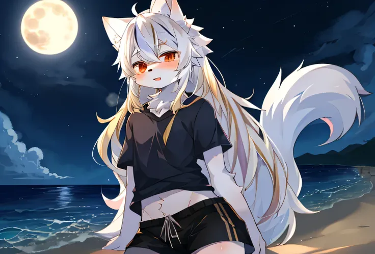 furry, white wolf, white hair, golden highlights, sexy, male, wearing sexy clothes, on the beach at night, full moon, kemono, re...