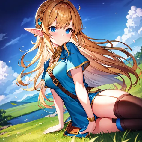 {{artist: bob_(bobtheneet)}} (Masterpiece, best quality:1.2, highres) 1 woman, solo, sfw, princess Zelda, in field, night sky, up close.