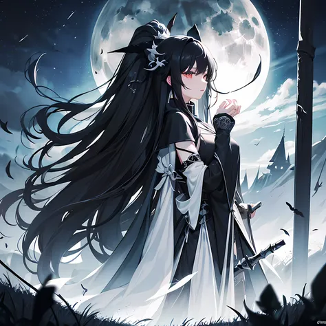 The dark side of moonlight、Long black hair、Black sword、Black Sword、Black Spear、Black and white yin and yang moon