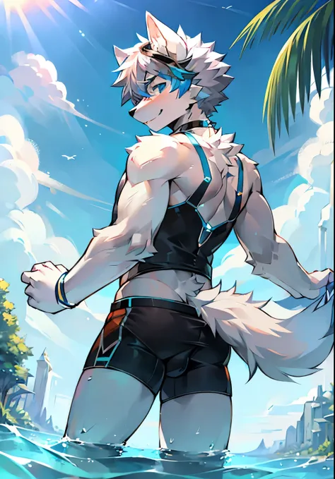 Furry，Wolf boy，White fur，crystal blue eyes，Single fluffy tail，greyt hair，short detailed hair，summer day，dive，Wear diving goggles，masculine features，back，Squat，asshole，bulge