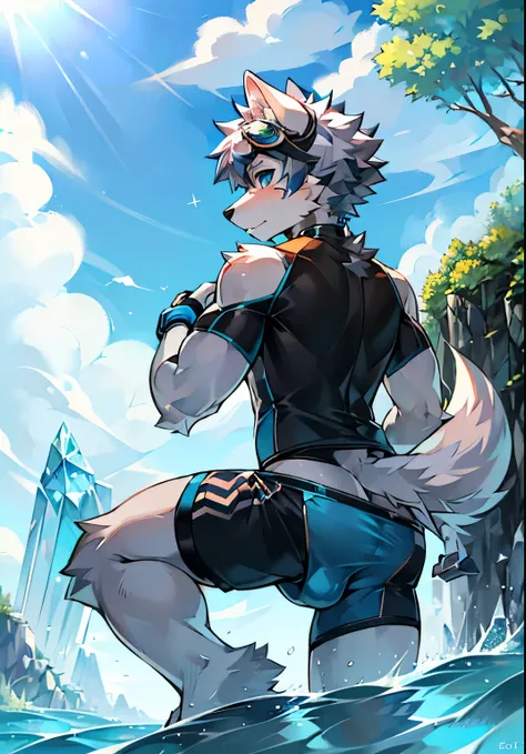 Furry，Wolf boy，White fur，crystal blue eyes，Single fluffy tail，greyt hair，short detailed hair，summer day，dive，Wear diving goggles，masculine features，back，Squat，asshole，bulge