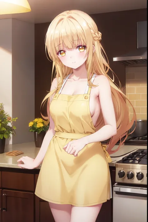 Mahiru shiina, , blonde, (Yellow Eyes:1.3)、Braided long hair,,blush,smile,night、Beautiful scenery, attractive thighs、Beautiful bare legs, Naked Apron、Wearing an apron naked、Cooking food in the kitchen、Bare chest、Nipples are visible
（masterpiece:1.2), highe...