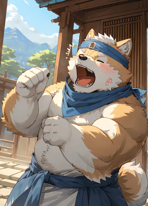 (masterpiece)，(very detailed)，(best quality)，hairy，shiba inu，fur，white hair，gray pupil，(japan samurai attire)，((blue scarf))，((b...