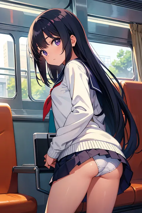 on the train　Elementary school girl, 8 years old　Flat chest, black hair, long hair, purple eyes　White upper body, short-sleeved sailor uniform　Navy blue mini skirt　White panties（（I can see her panties）） White socks　sneakers　on the trainで立ってスカートをたくし上げている　 D...