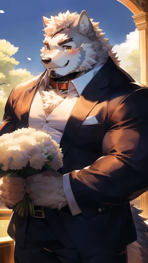 Solitary, anthropology, hairy, hairy male, Wolf, ((Fluffy fur, Fluffy, hairy body)), (Wolf印), (short beard), youth, Gray body, muscular, White, Big muscles, Golden pupils, Tail, deTailed teeth, deTailed face, Fundos, bridegroom, (Black suit suit), (The col...