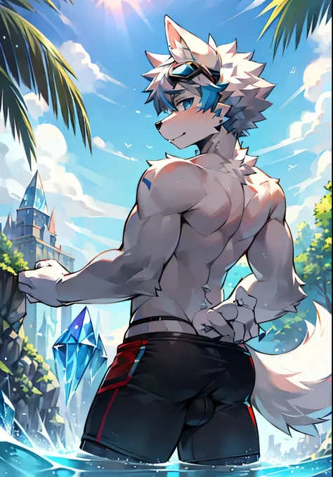 Furry，Wolf boy，White fur，crystal blue eyes，Single fluffy tail，greyt hair，short detailed hair，summer day，dive，Wear diving goggles，masculine features，back，Squat，asshole，very big bulge