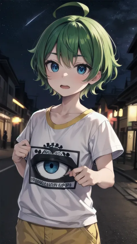 (masterpiece), ((sfw)), best quality, expressive eyes, perfect face, mature male, (1boy, adult Man), young adult, young man, solo, Green hair BREAK ahoge, blue eyes BREAK t-shirt, yellow shorts, standing, night sky, town village, open mouth, surprised face