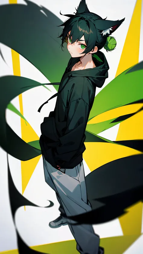 1Boy, black hair, green eyes, standing, fox ears, hair tied in a bun, standing, hoodie, teenager