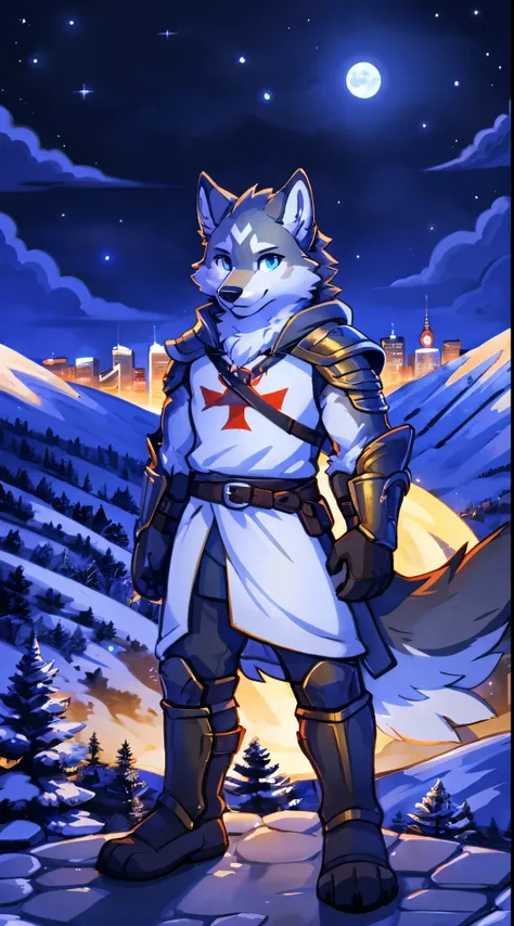 a full body, anthropomorphic grey wolf kid wearing a templar armor, wolf face, cute face, glossy fur, big fluffy neckfur, posing for a picture in a hill at night with a city in the distance