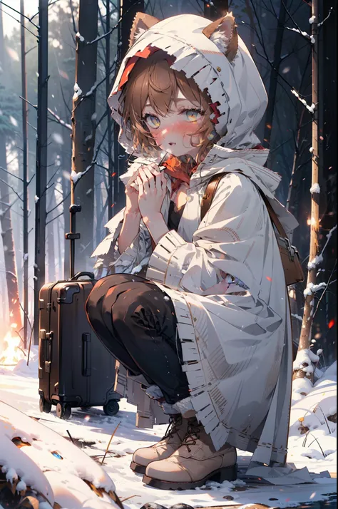 Lililukarde, Liliruka gets burned, Animal ears, (Brown eyes:1.7), Brown Hair, (Flat Chest:1.2), short hair,smile,blush,White Breath,
Open your mouth,snow,Ground bonfire, Outdoor, boots, snowing, From the side, wood, suitcase, Cape, Blurred, having meal, fo...