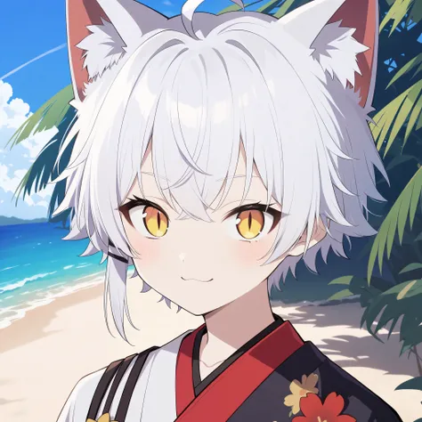 cat_boy,1boy,split color kimono,[(white kimono:1)|(black kimono:1.2)|(red lapel:0.7)],animal ears,white hair, short hair with a ...