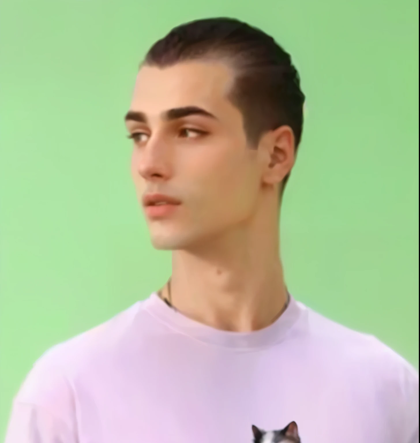 arafed man in a white shirt with a black and white cat on it, non binary model, ilya kuvishinov style, aykut aydogdu, maxim sukharev, an epic non - binary model, alexey gurylev, style of seb mckinnon, style of ilya kushinov, maxim shirkov, pastel clothing,...