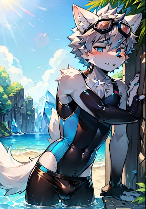 Furry，wolf boy，White fur，crystal blue eyes，Single fluffy tail，greyt hair，short detailed hair，summer day，dive，Wear diving goggles，masculine features，Squat，asshole，very long bulge，Sexy latex swimsuit，Sexy pose，Posture of seduction，((seduce))