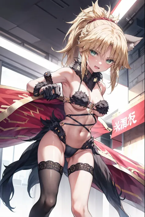 Masterpiece, Best Quality, illustration, city, 1girl, Mordred (fate), collarbone, Detailed blond hair ponytail braid, green eyes,,navel,thigh-high, covered_pussy,skiny,long_sword,apart_legs,dangerousbeast,elbow_gloves,
,wolf_tail,wolf_ears,fang,happy,shy,c...