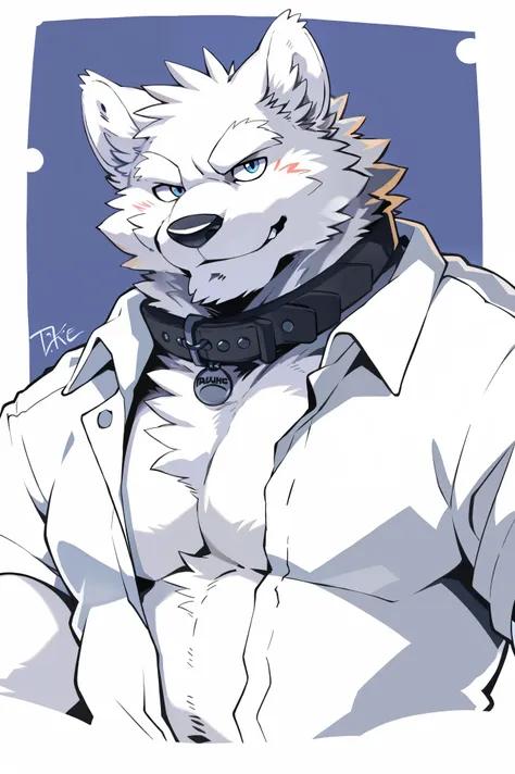 snow wolf, (all white fur:1.5), solo, perfect sky blue eyes, collar, wearing a white shirt, exposing the chest(unbutton), (artis...