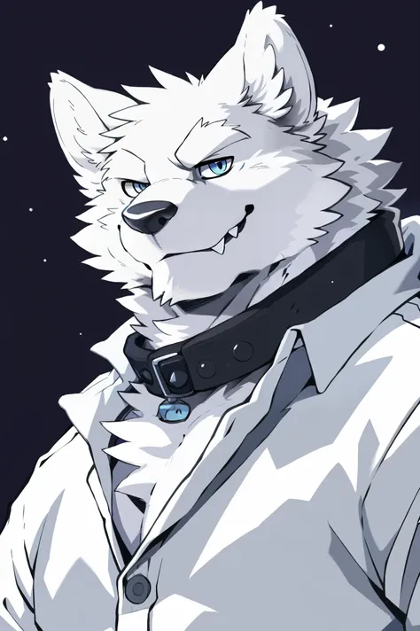 medium shot, snow wolf, (all white fur:1.5), solo, perfect sky blue eyes, collar, wearing a white suit, (artist:takemoto arashi)...