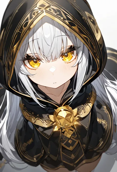 (highest quality:1.2), extra large hood, hooded cloak, wearing a hood, (a black cloak decorated with gold, golden decoration:1.2...