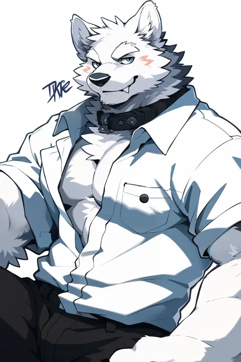 snow wolf, ((all white fur:1.5)), solo, perfect sky blue eyes, collar, (wearing a white shirt|wearing black casual pants), (arti...