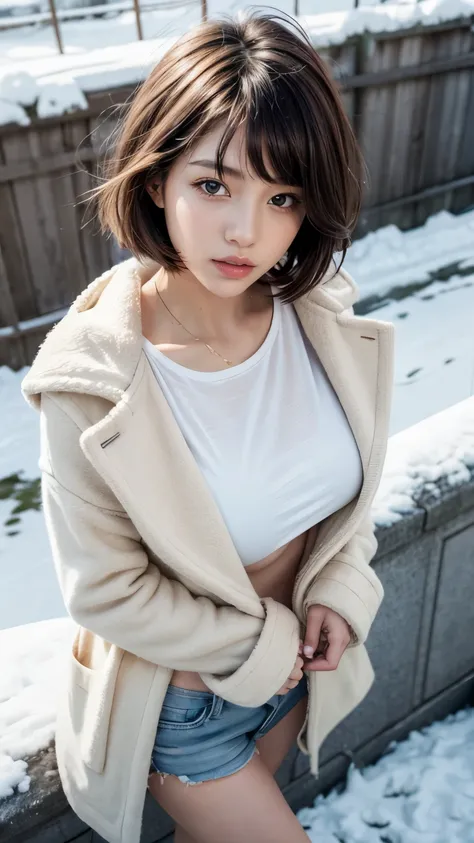 one sexy girl, supermodel, pale skin, short hair, bangs, prefect face, makeup, big tits, open coat, T-shirt, looking at viewer, winter day, snow, soft lighting, film grain, from above