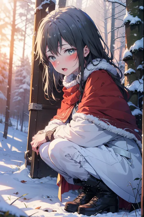 yukinoyukinoshita, yukino yukinoshita, Black Hair, blue eyes, Long Hair, Ahoge,smile,blush,White Breath,
Open your mouth,snow,Ground bonfire, Outdoor, boots, snowing, From the side, wood, suitcase, Cape, Blurred, Increase your meals, forest, White handbag,...