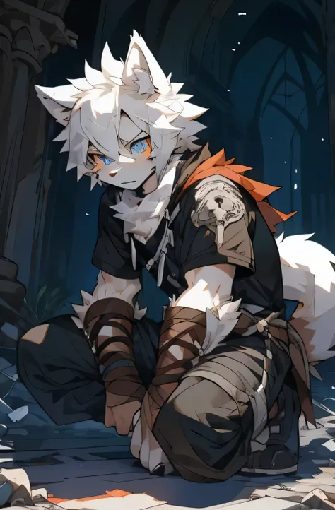 hairy,hairy wolf,white hair，Male Wolf，young,Black sclera,Wolf Tail,Very detailed,White fur,in ruins，Calm and alert，Fearful and strong，Serious expression，The clothes were worn out，wounded，Ready to fight，Get down on one knee