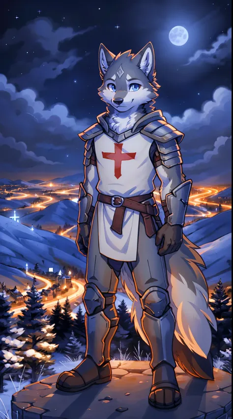 a full body, anthropomorphic grey wolf kid wearing a templar armor, wolf face, cute face, glossy fur, big fluffy neckfur, posing...