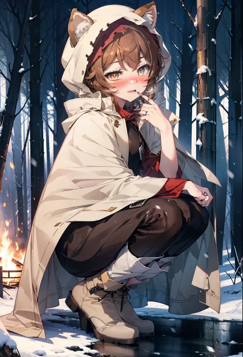 Liliru Card, Liliruca gets burned, Animal ears, (Brown eyes:1.7), Brown Hair, (Flat Chest:1.2), short hair,smile,blush,White Breath,
Open your mouth,snow,Ground bonfire, Outdoor, boots, snowing, From the side, wood, suitcase, Cape, Blurred, having meal, fo...