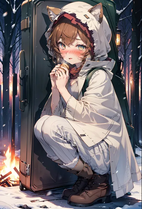 Liliru Card, Liliruca gets burned, Animal ears, (Brown eyes:1.7), Brown Hair, (Flat Chest:1.2), short hair,smile,blush,White Breath,
Open your mouth,snow,Ground bonfire, Outdoor, boots, snowing, From the side, wood, suitcase, Cape, Blurred, having meal, fo...