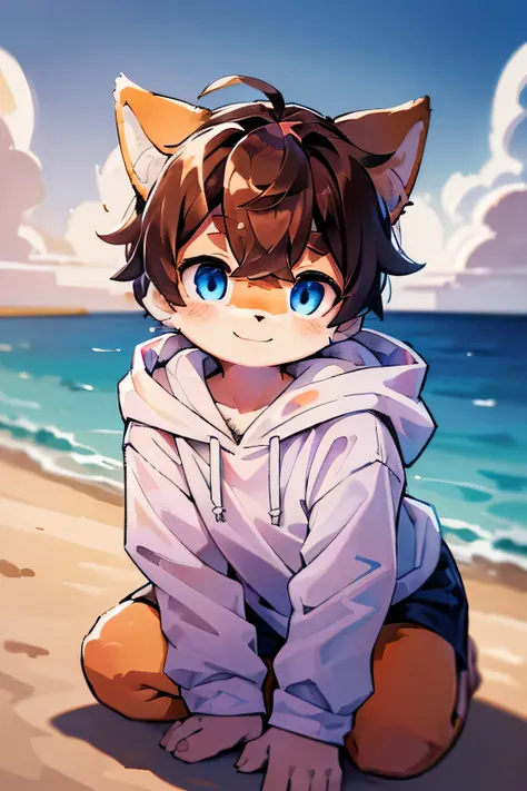 With a summer beach in the background, cumulonimbus clouds are visible, crouching, (mischievous smile, orange fur, Shiba Inu beastman, light blue eyes, *brown hair*, fluffy boy, cute), wearing a hoodie, orange and white fur on his face, no human-like ears