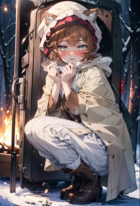 Liliru Card, Liliruca gets burned, Animal ears, (Brown eyes:1.7), Brown Hair, (Flat Chest:1.2), short hair,smile,blush,White Breath,
Open your mouth,snow,Ground bonfire, Outdoor, boots, snowing, From the side, wood, suitcase, Cape, Blurred, having meal, fo...