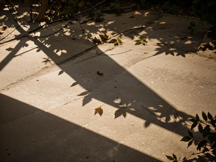 Abstract background of texture of dim light and shadow of leaves