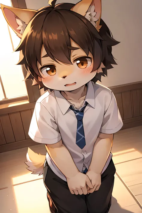 Kemoshota, Gokkun