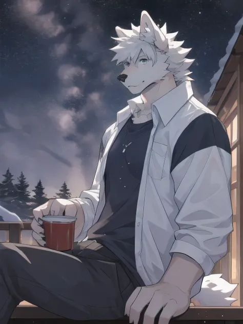 White Wolf，Adult male，Casual Wear，White fur，short hair，Messy hair，Starry Sky，detailed，Best quality