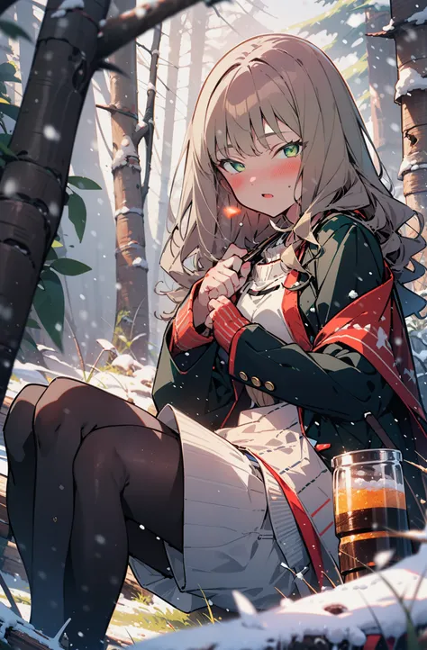 minami yume ,sss Dynazenon ,Long Hair, Brown Hair, (Green Eyes:1.5) ,blush,White Breath,
Open your mouth,snow,Ground bonfire, Outdoor, boots, snowing, From the side, wood, suitcase, Cape, Blurred, forest, White handbag, nature,  Squat, Mouth closed, Cape, ...