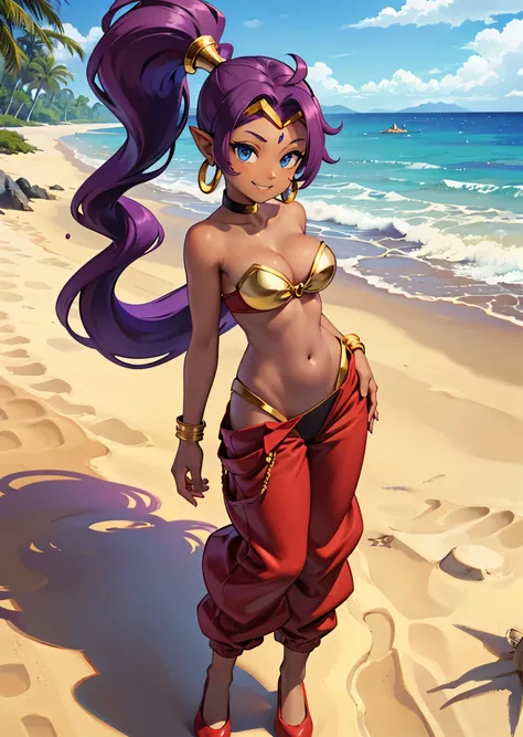 [Shantae], ((masterpiece)), ((HD)), ((highres)), ((solo portrait)), ((full body)), ((front view)), ((feet visible)), ((detailed shading)), ((intricate details)), {attractive girl, (dark skin tone), (brown skin), (purple hair), (long ponytail), (cute blue e...