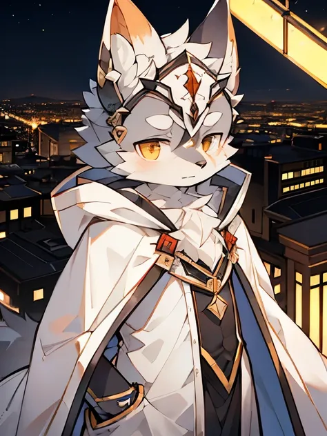 Exquisite lines，best quality。Gray wolf orcs，White robe，Golden pupils，There is a triangle sign on the head，Background City，night，Standing on the rooftop