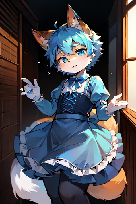 Fox Boy，furry men，Male focus，Characteristics of three-year-old boy，One meter three height，White Arm，Blue pupils，femboy，Blue lolita skirt