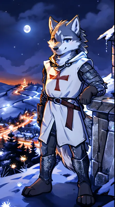 a full body, anthropomorphic grey wolf kid wearing a templar armor, wolf face, cute face, glossy fur, big fluffy neckfur, posing...