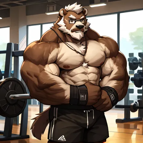 solo, 1boy, Huge Muscular Old Grizzly Bear wearing glasses , pectoral, huge pectoral, wide pectoral, short white hair, short pants black wristbands and shirtless topless, bearded, Mustache, gym background, masterpiece, high detailed, 8k, high resolution, a...