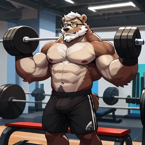 solo, 1boy, Huge Muscular Old Grizzly Bear wearing glasses , pectoral, huge pectoral, wide pectoral, short white hair, short pants black wristbands and shirtless topless, bearded, Mustache, gym background, masterpiece, high detailed, 8k, high resolution, h...