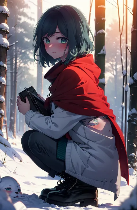 akanekurokawa, akane kurokawa, bangs, (Green Eyes:1.3), Blue Hair, Medium Hair, dark Blue Hair,smile,blush,White Breath,
Open your mouth,snow,Ground bonfire, Outdoor, boots, snowing, From the side, wood, suitcase, Cape, Blurred, , forest, White handbag, na...