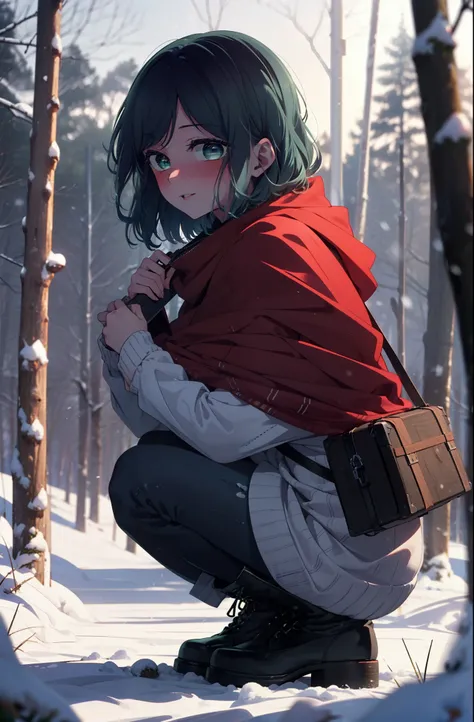 akanekurokawa, akane kurokawa, bangs, (Green Eyes:1.3), Blue Hair, Medium Hair, dark Blue Hair,smile,blush,White Breath,
Open your mouth,snow,Ground bonfire, Outdoor, boots, snowing, From the side, wood, suitcase, Cape, Blurred, , forest, White handbag, na...