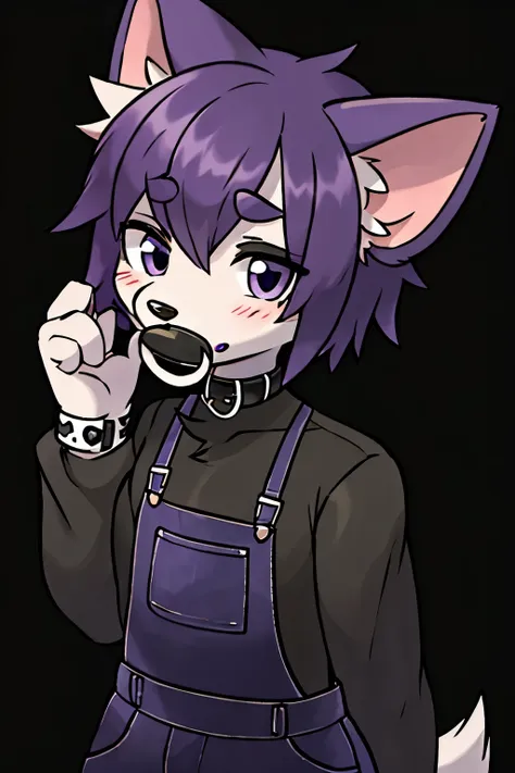 emo, goth, small puppy boy, male, blush, grey fur, purple eyes, (pacifier:1), floppy puppy ears, black shirt, purple overalls