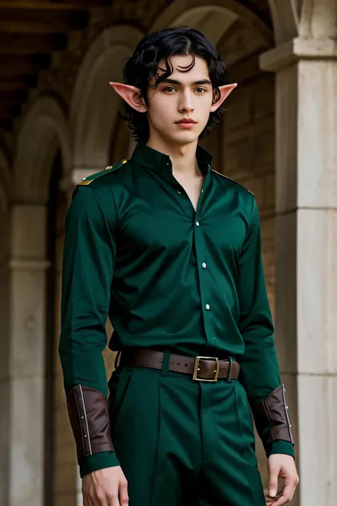 animated elf, black hair , green clothes green eyes, young 15 years, masculine,  anime