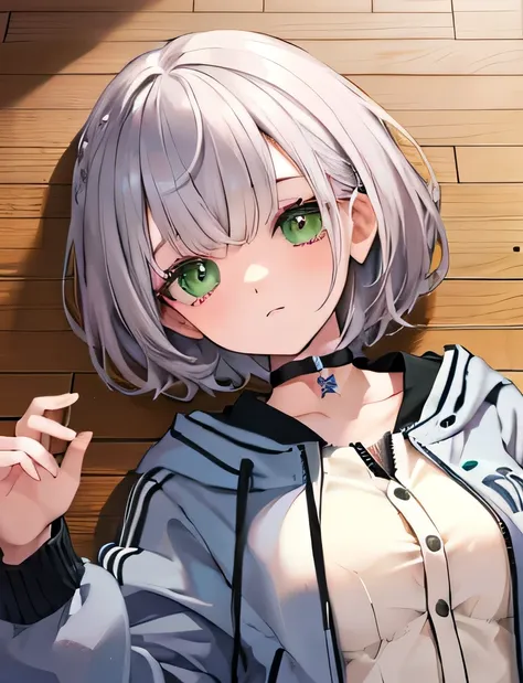 highest quality, masterpiece, ultra-high resolution, grey hair, short hair, green eyes, button letterman jacket, on floor, black...