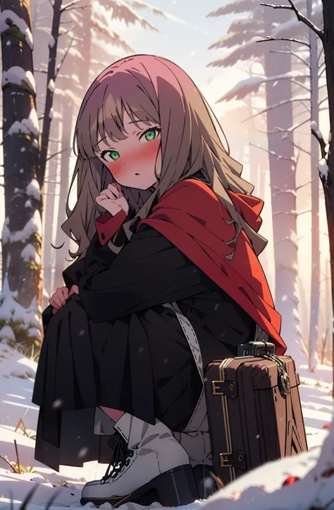 minami yume ,sss Dynazenon ,Long Hair, Brown Hair, (Green Eyes:1.5) ,blush,White Breath,
Open your mouth,snow,Ground bonfire, Outdoor, boots, snowing, From the side, wood, suitcase, Cape, Blurred, forest, White handbag, nature, Squat, Mouth closed, Cape, ...