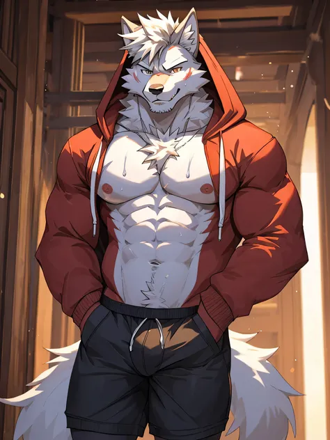 white background, front view, flexing, muscles, pubic hair, muscular, long white hair, navel hair, furry, wolf, long tail, male, sweat, sweating, wearing boxer briefs, wearing hoodie(shirtless, hoodie, open hoodie, handsome), looking at viewer, smiling, bl...