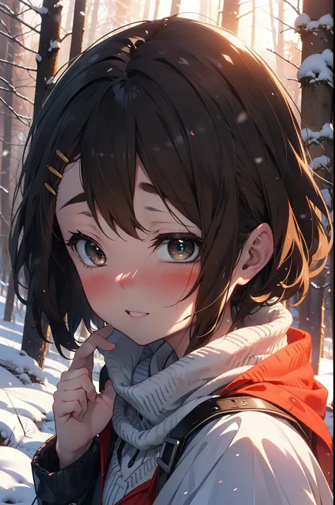 yuihirasawa, Yui Hirasawa, short hair, Brown Hair, hair ornaments, (Brown eyes:1.5), Hair Clip、smile,smile,blush,White Breath,
Open your mouth,snow,Ground bonfire,, Outdoor, boots, snowing, From the side, wood, suitcase, Cape, Blurred, , forest, White hand...